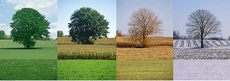 平台动作游戏《A Highland Song》宣传片 12月6日发售