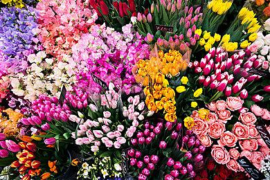 世嘉高管：索尼克系列的目标是超越马里奥系列